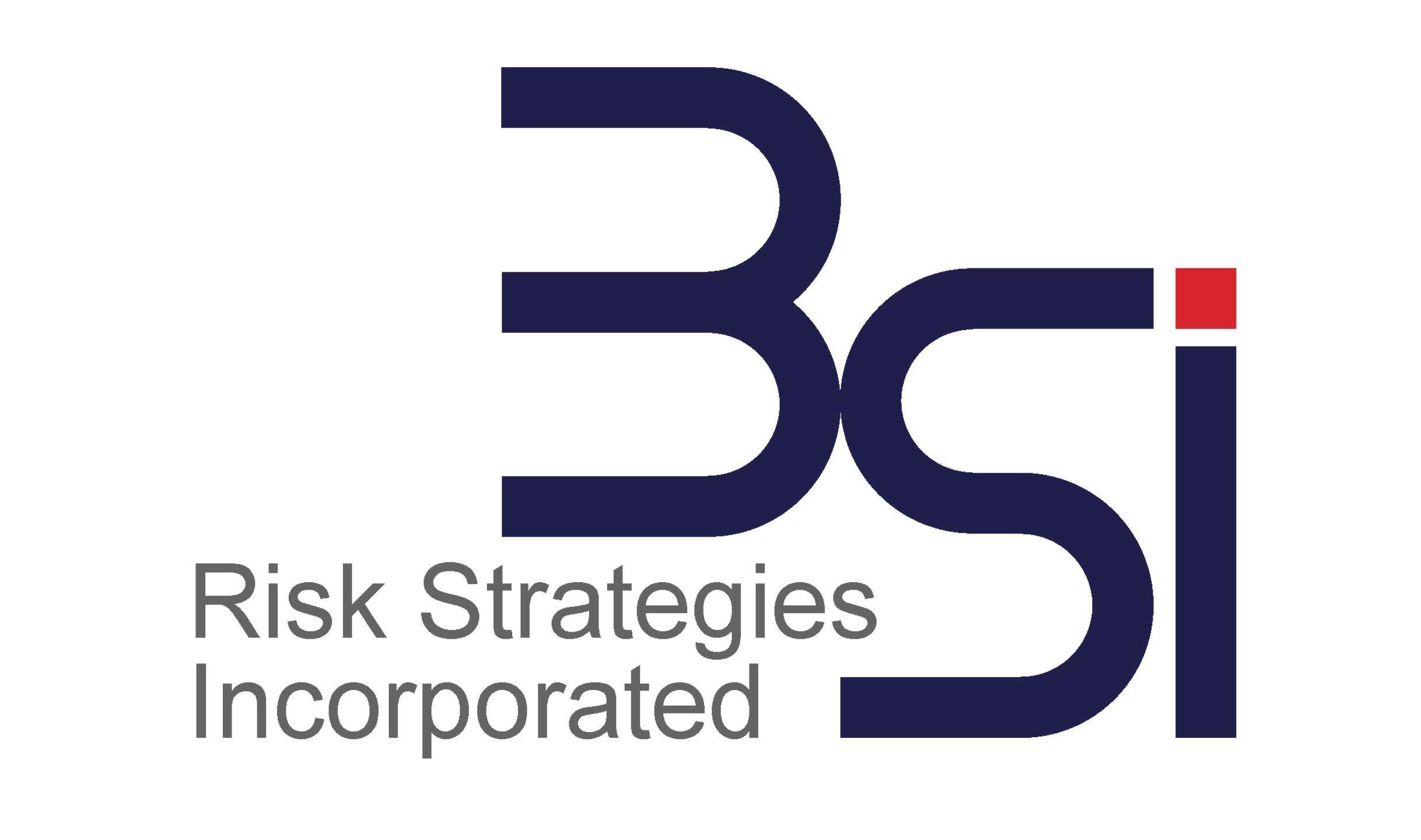 3Si Risk Strategies Inc. Logo