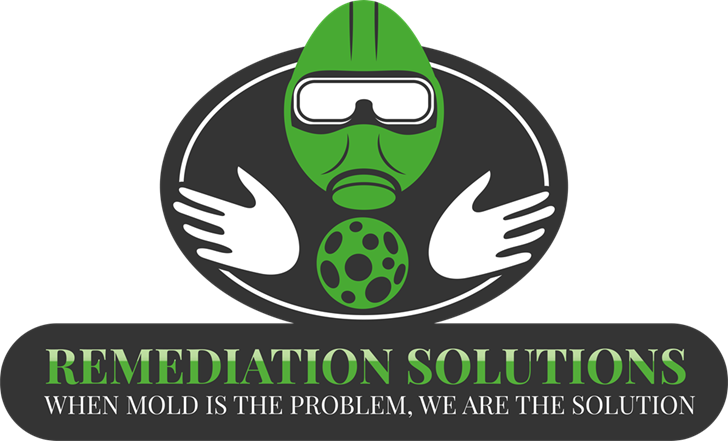 Remediation Solutions, Inc. Logo