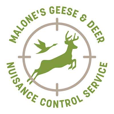Malone’s Geese & Deer Nuisance Control Service LLC Logo