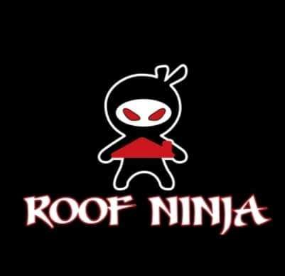 Roof Ninjas Logo