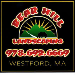Bear Hill Landscaping Logo