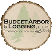 Budget Arbor and Logging, LLC Logo
