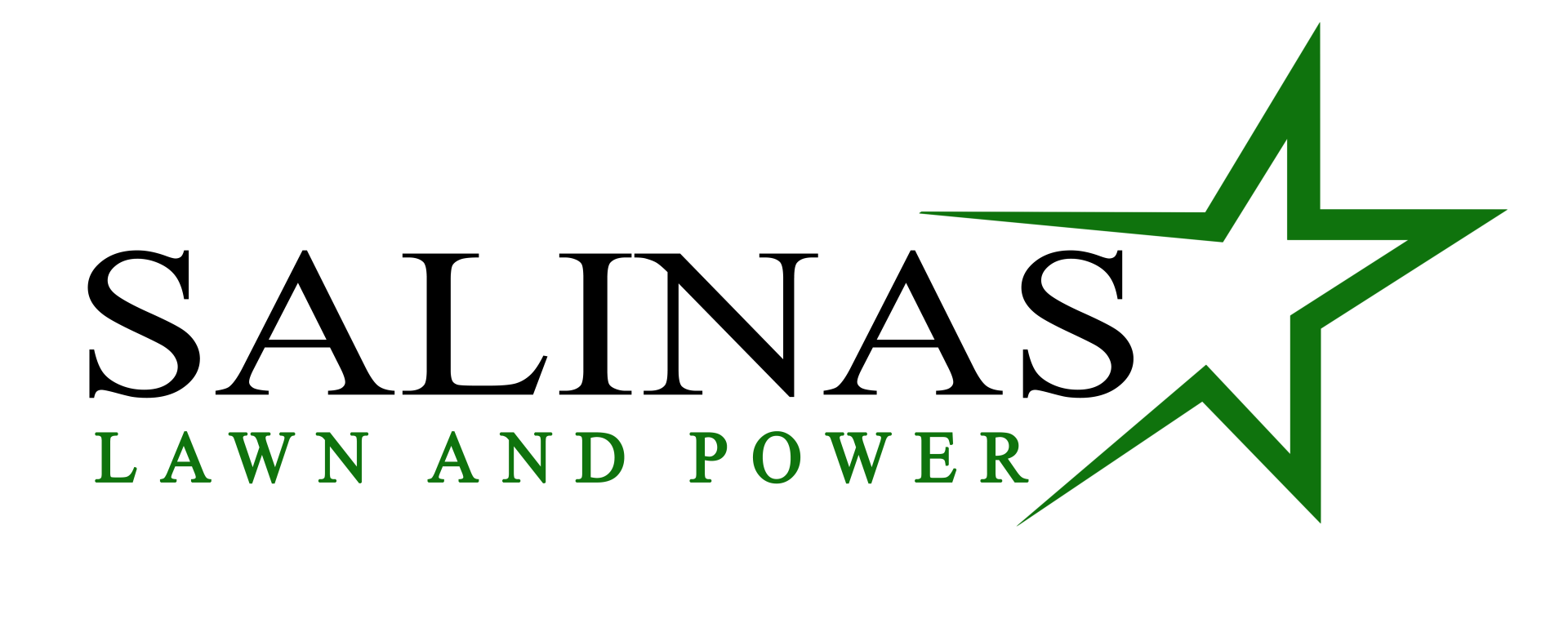 Salinas Lawn & Power Logo