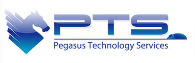 Pegasus Technology Services Inc Logo