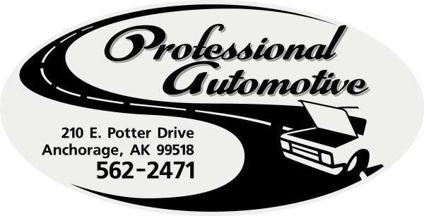 Professional Automotive Logo