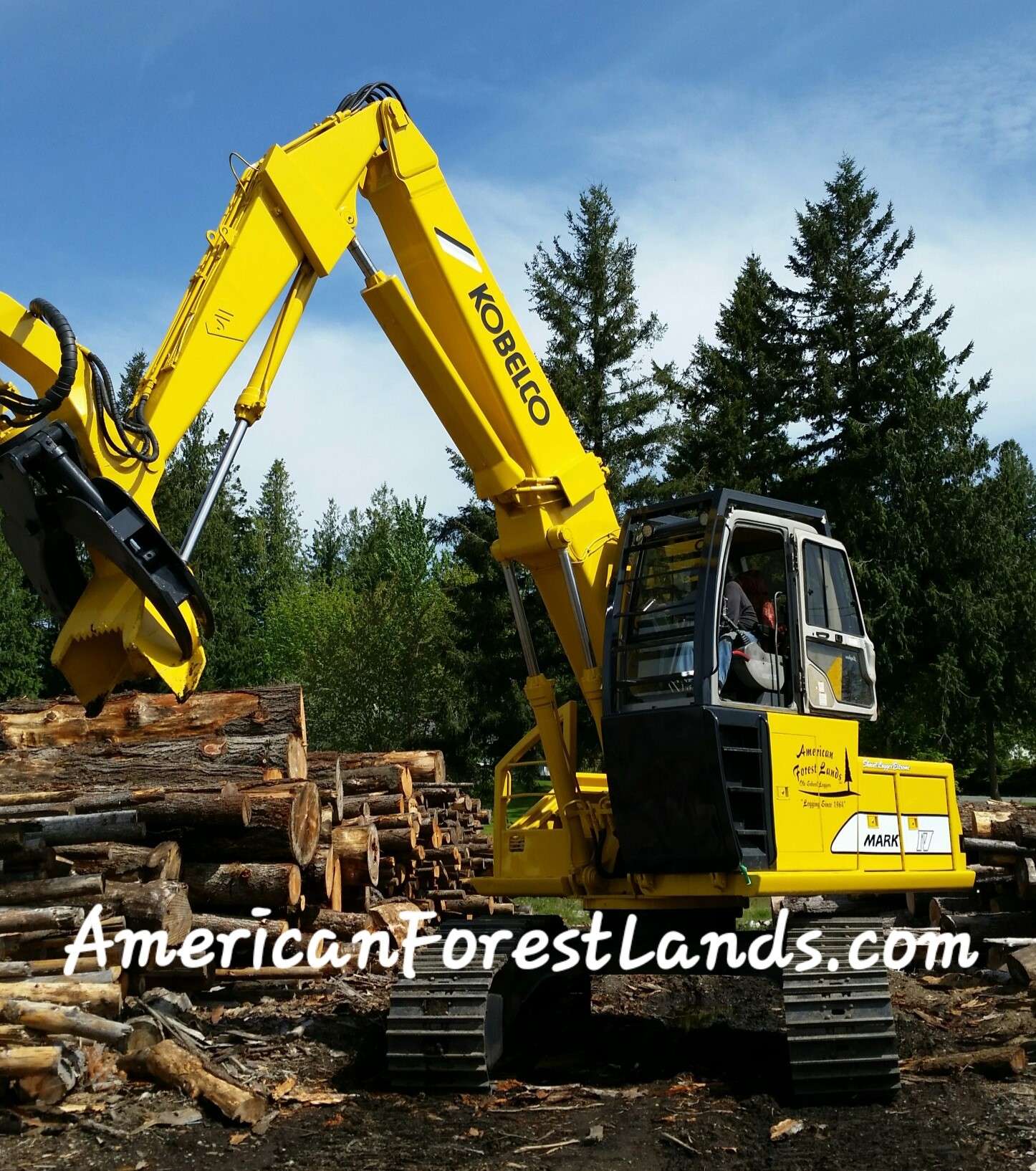 American Forest Lands Washington Logging Company LLC Logo