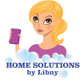 Home Solutions by Libny Logo