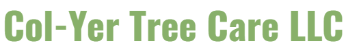 Col-Yer Tree Care Logo