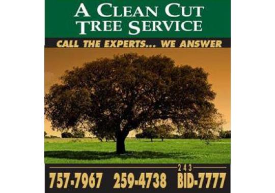 Strip cutting trees definition, Quincy FL