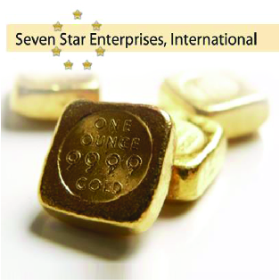 Seven Star Enterprises International Logo