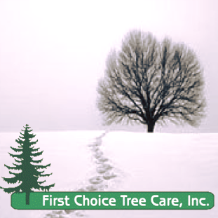 First Choice Tree Care, Inc. Logo