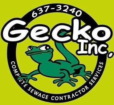 Gecko Enterprises, Inc. Logo