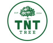 Tnt Tree Removal