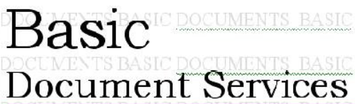 Basic Document Services Logo