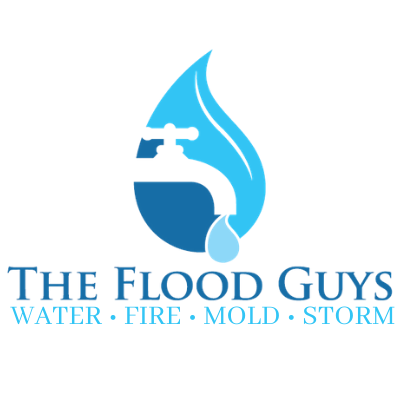 The Flood Guys, LLC Logo