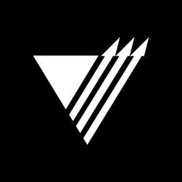 Vector Marketing Corporation Logo