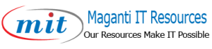 Maganti IT Resources, LLC Logo