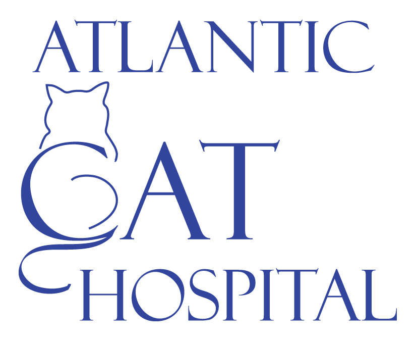 Atlantic Cat Hospital | Better Business 