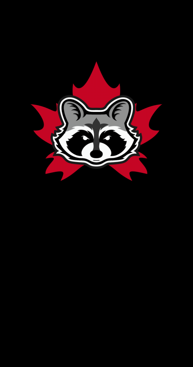 Raider Wildlife Control Logo