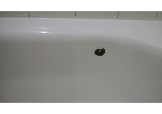 Bathtub Repair - Roto-Rooter®