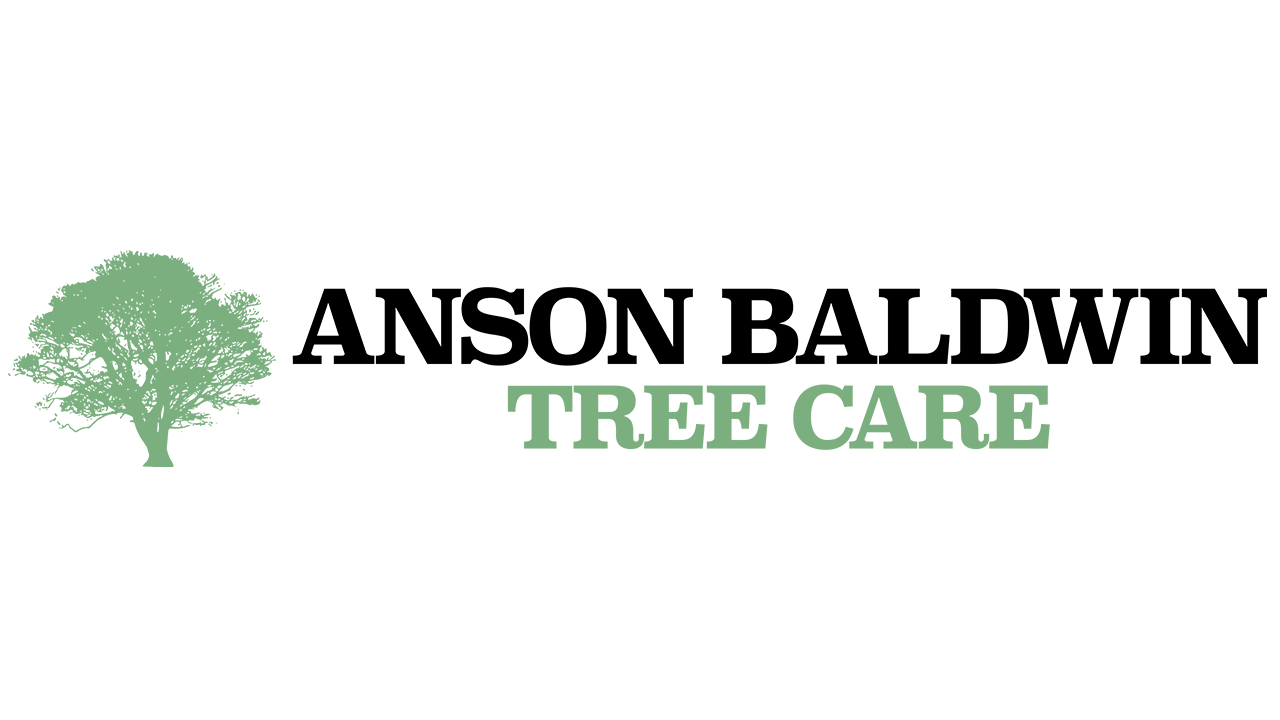 Anson Baldwin Tree Care, LLC | Better Business Bureau® Profile