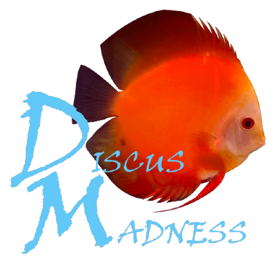 Discus Madness Inc. Logo