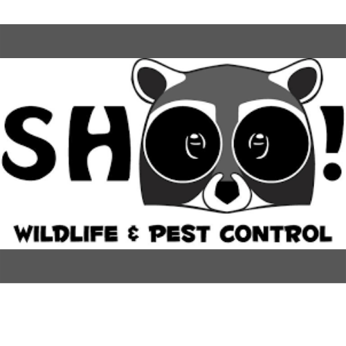 ShOO! Wildlife & Pest Control Logo