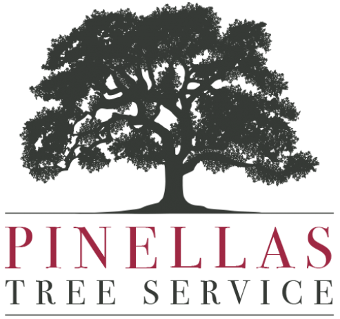Pinellas Tree Service Logo