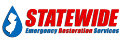Statewide Emergency Restoration Services, Inc. Logo