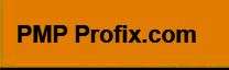 PMP Profix LLC Logo