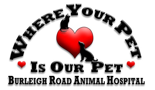 Burleigh Road Animal Hospital LTD. Logo