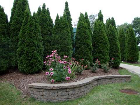 Turf N Timber Landscaping Better, Emerald Landscaping Plymouth Ma