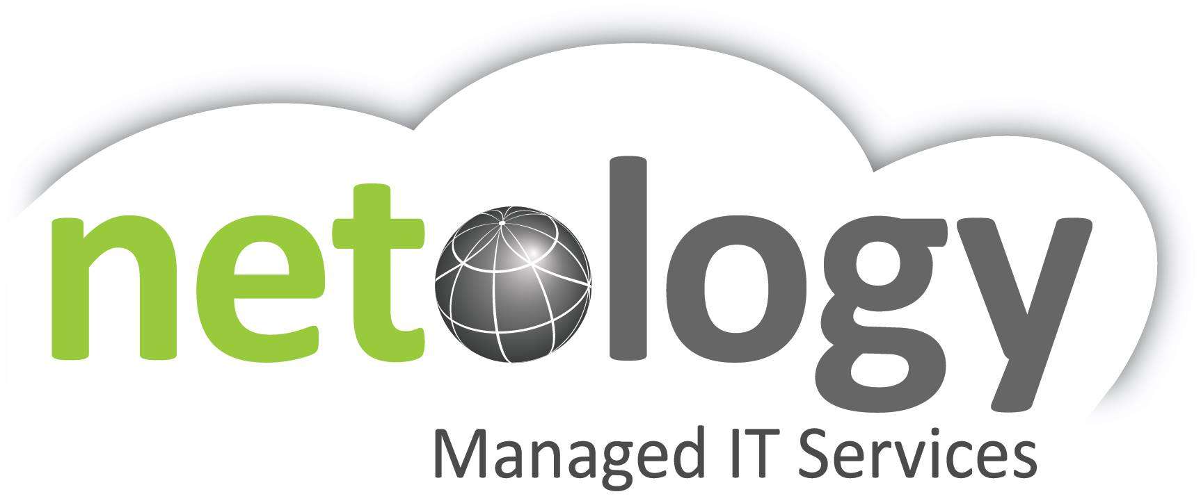 Netology LLC Logo