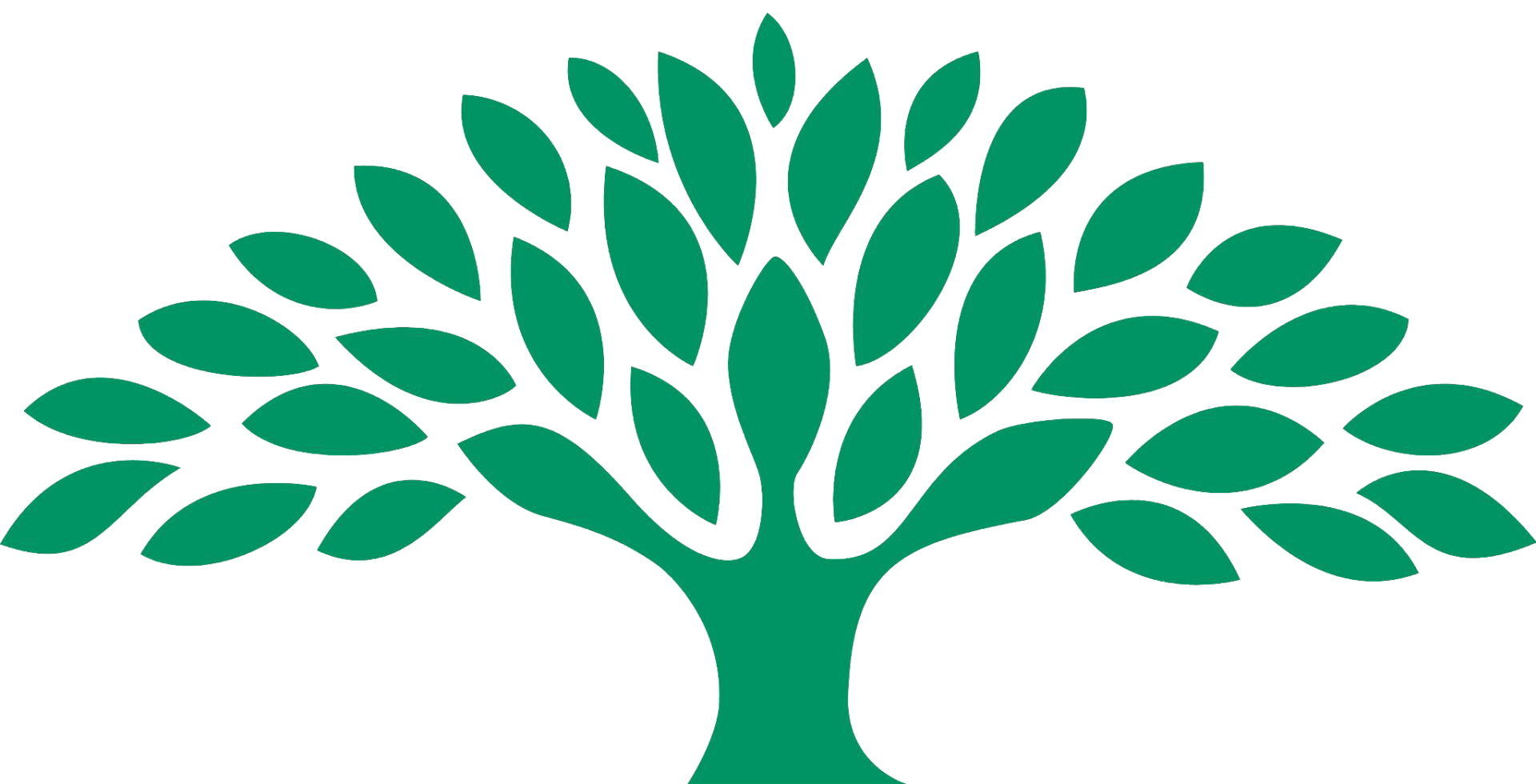 Learning Foundations Logo
