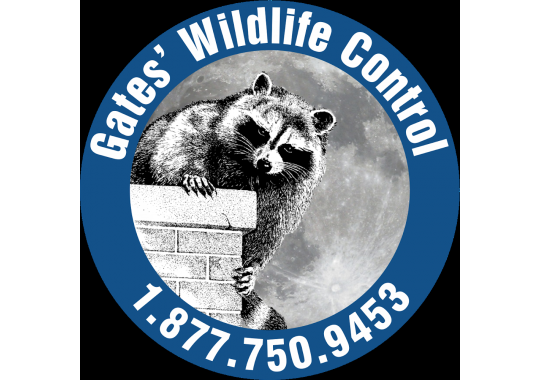AAA Gates Wildlife Control Logo