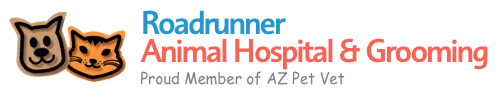 Roadrunner Animal Hospital LLC Logo