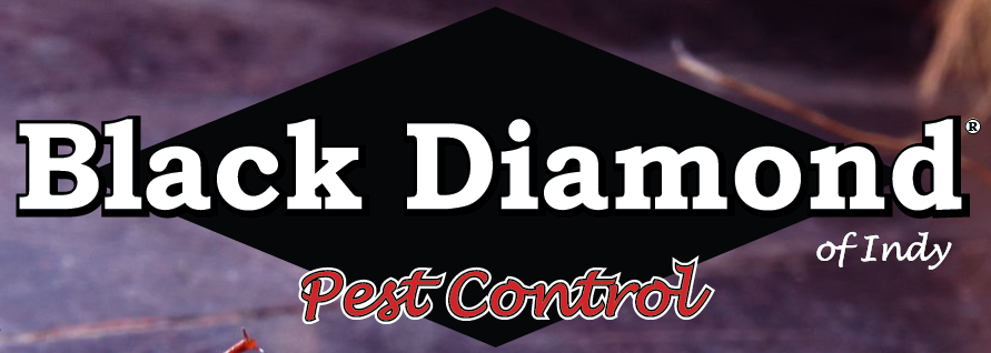 Black Diamond of Indy Pest Control Logo