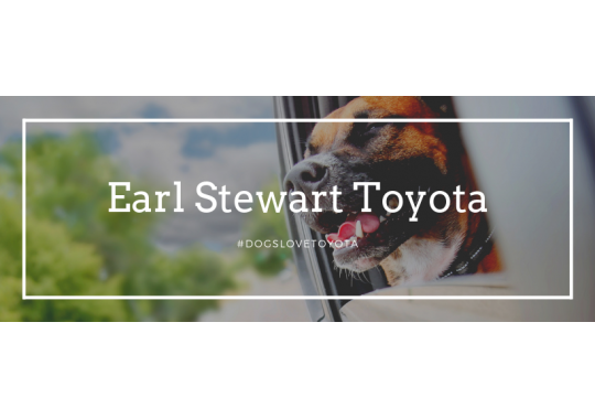 Earl Stewart Toyota of North Palm Beach Logo