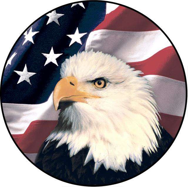 American Eagle Tree Service, LLC Logo