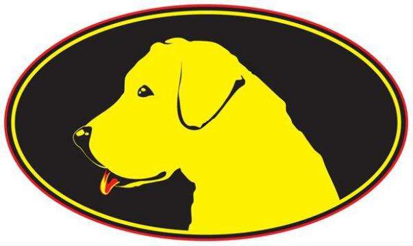 Yellow Dawg Striping of West Central Florida Logo