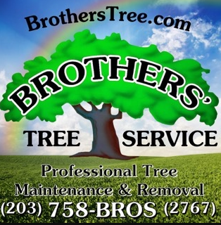 Brothers' Tree Service, LLC Logo