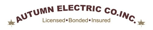 Autumn Electric Co Inc Logo