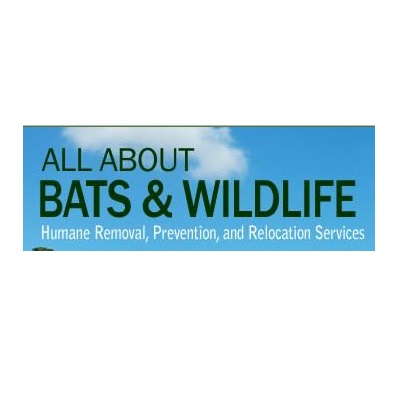 All About Bats & Wildlife, Inc. Logo