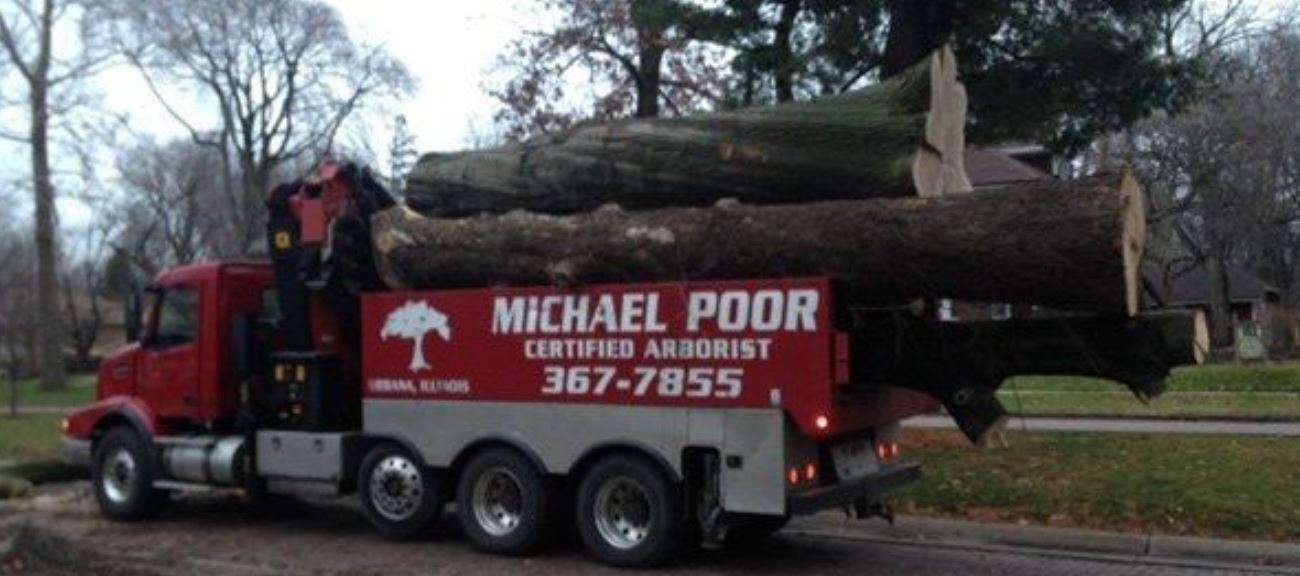 Michael Poor Certified Arborist Logo