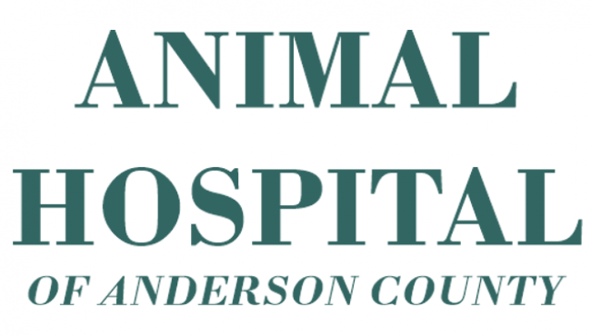 Anderson County Animal Hospital, LLC Logo