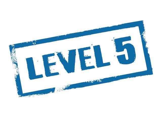 Level 5 Finishing and Renovations Inc. Logo