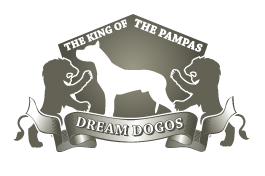 Dream Dogos, LLC Logo