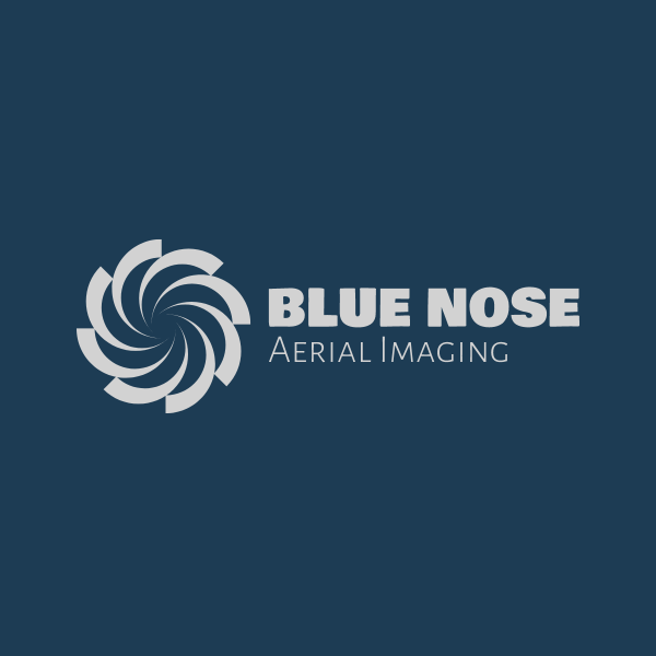 Blue Nose Aerial Imaging Logo