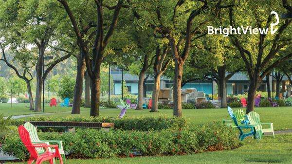Brightview Landscape Services Inc, Brightview Landscaping Jacksonville Fl