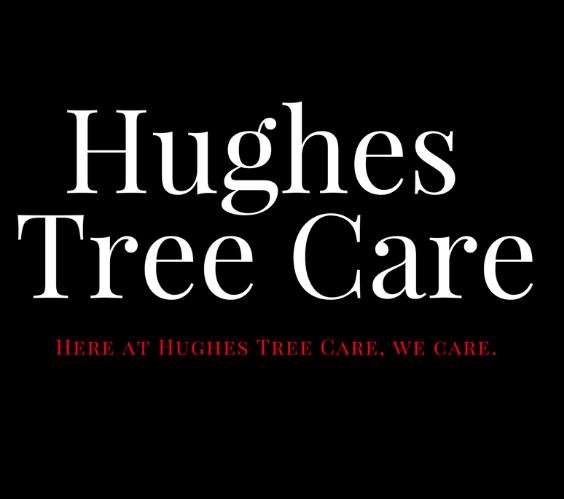 Hughes Tree Care Logo